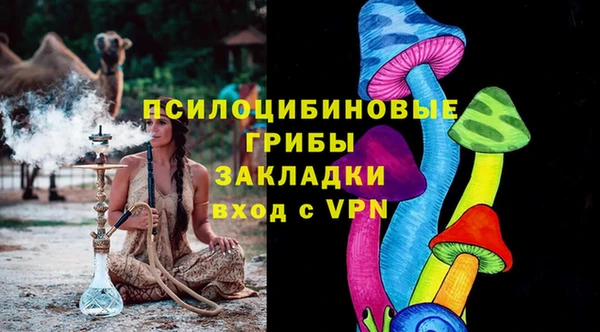 индика Пестово