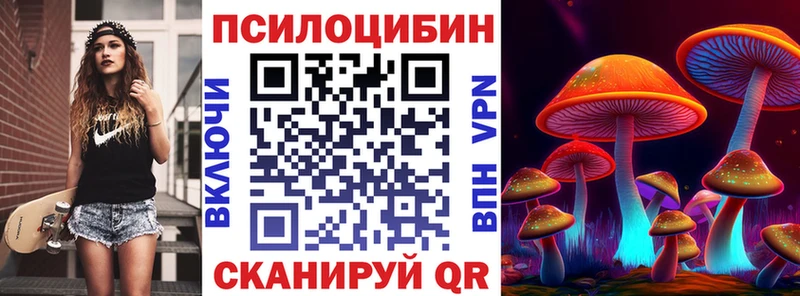 Псилоцибиновые грибы Cubensis Рассказово