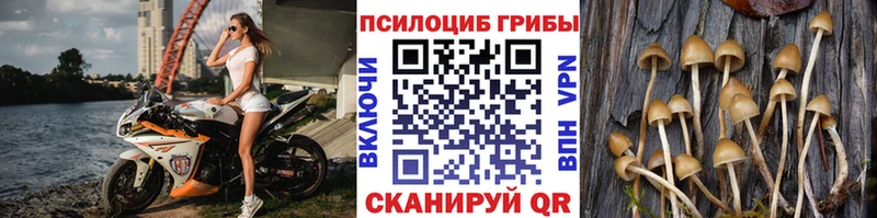 даркнет какой сайт  Рассказово  Галлюциногенные грибы мухоморы 